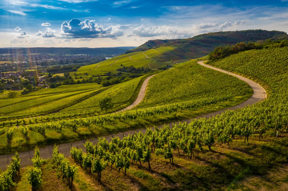 VTC Transport visit wine route alsace strasbourg